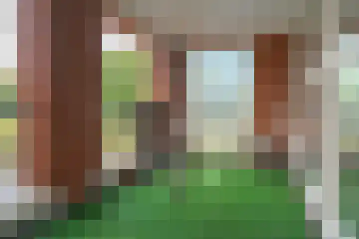 Waterborgh 4 Leek thumbnail 8