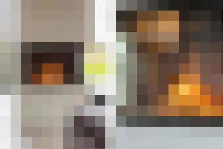 Waterbospad 2 a Rockanje thumbnail 13
