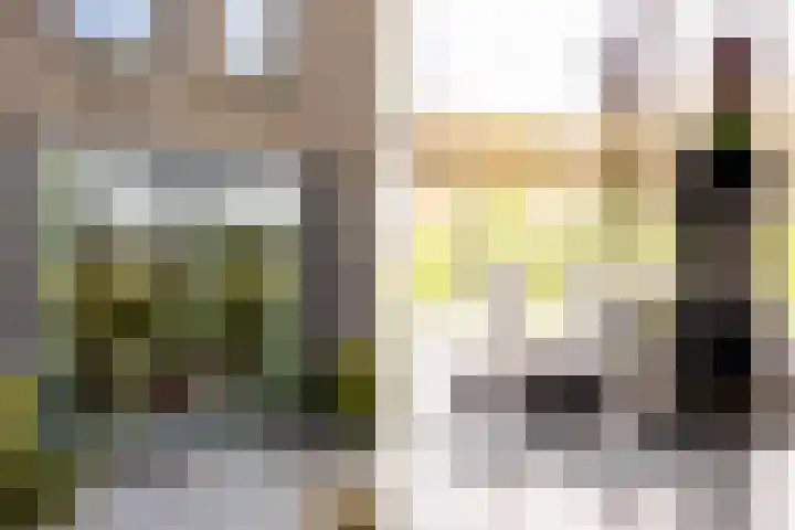 Waterbospad 2 a Rockanje thumbnail 14
