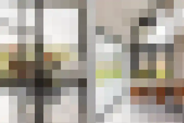 Waterbospad 2 a Rockanje thumbnail 16