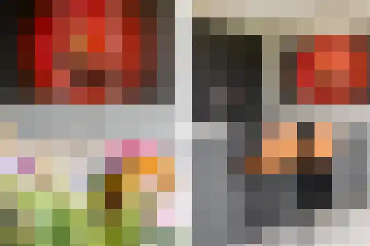 Waterbospad 2 a Rockanje thumbnail 19
