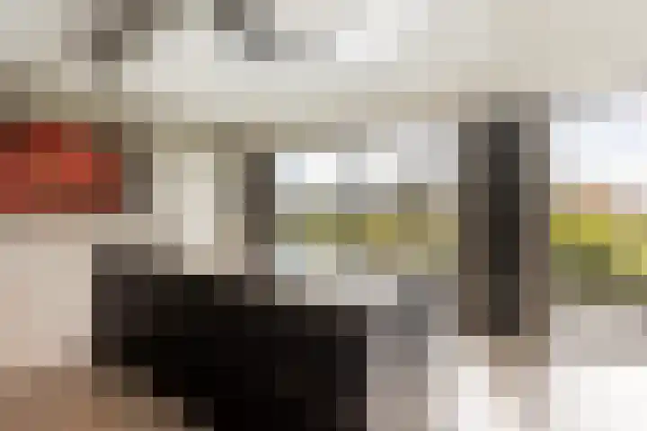Waterbospad 2 a Rockanje thumbnail 20