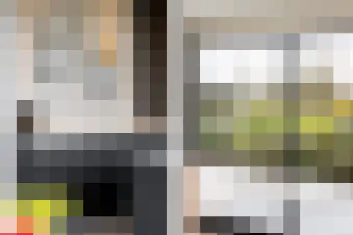 Waterbospad 2 a Rockanje thumbnail 21
