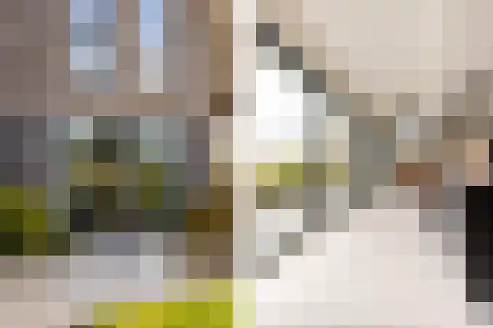 Waterbospad 2 a Rockanje thumbnail 22
