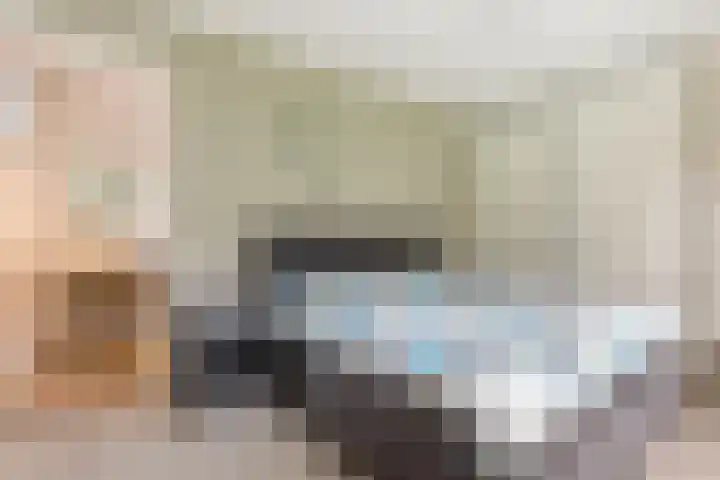 Waterbospad 2 a Rockanje thumbnail 24