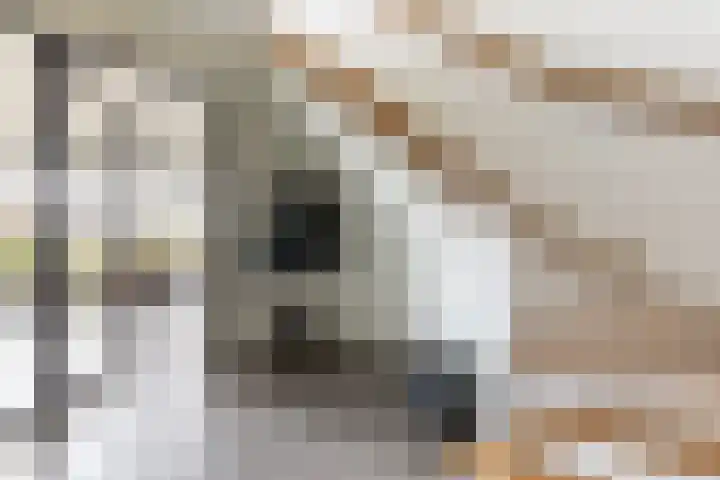 Waterbospad 2 a Rockanje thumbnail 26