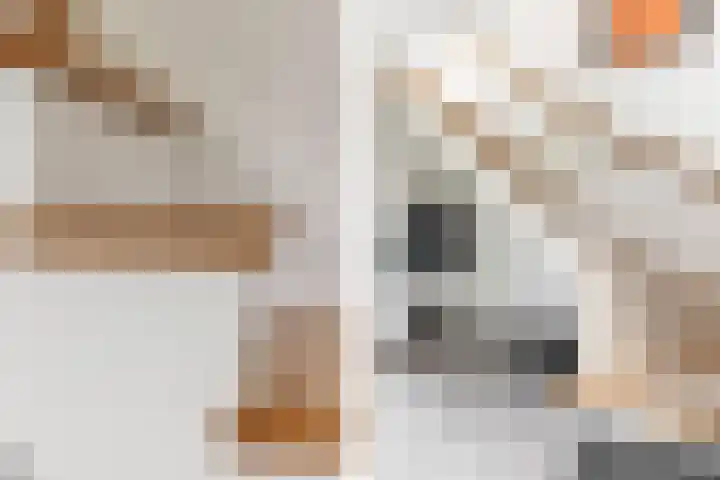 Waterbospad 2 a Rockanje thumbnail 27