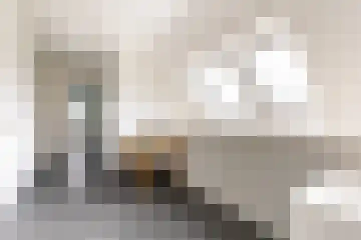 Waterbospad 2 a Rockanje thumbnail 30