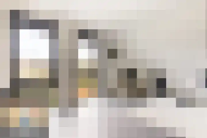 Waterbospad 2 a Rockanje thumbnail 31