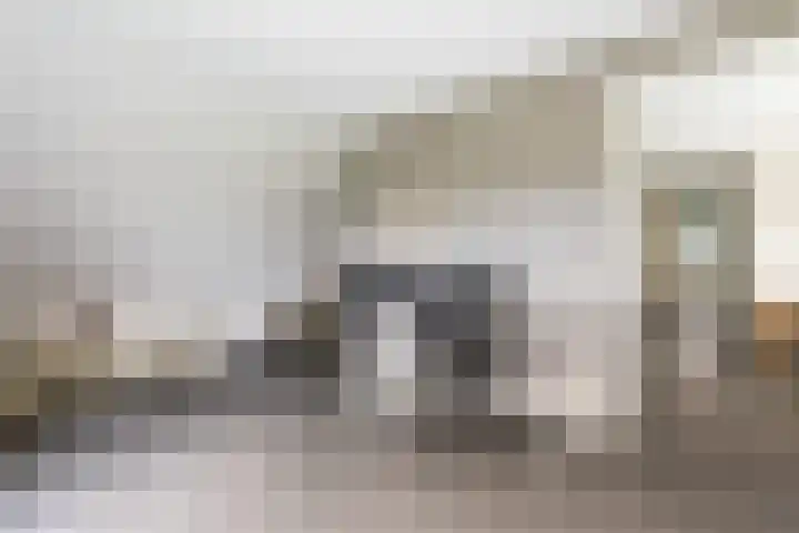 Waterbospad 2 a Rockanje thumbnail 32