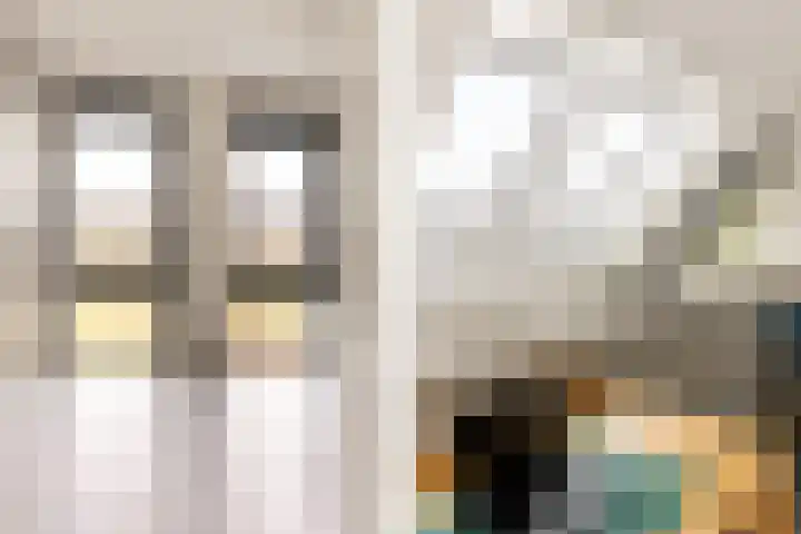 Waterbospad 2 a Rockanje thumbnail 33