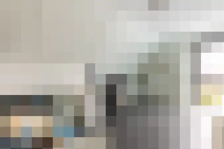 Waterbospad 2 a Rockanje thumbnail 34