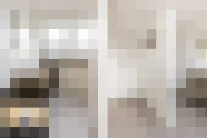 Waterbospad 2 a Rockanje thumbnail 36