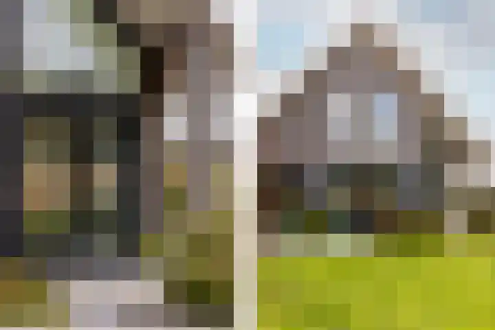 Waterbospad 2 a Rockanje thumbnail 37