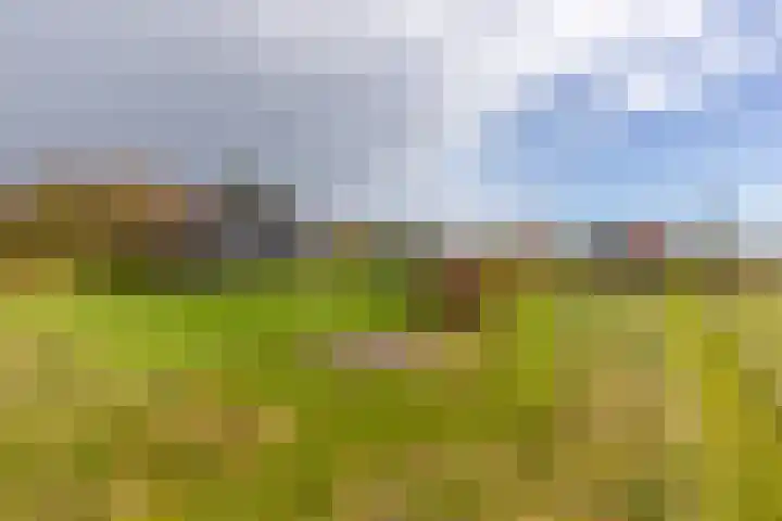 Waterbospad 2 a Rockanje thumbnail 38