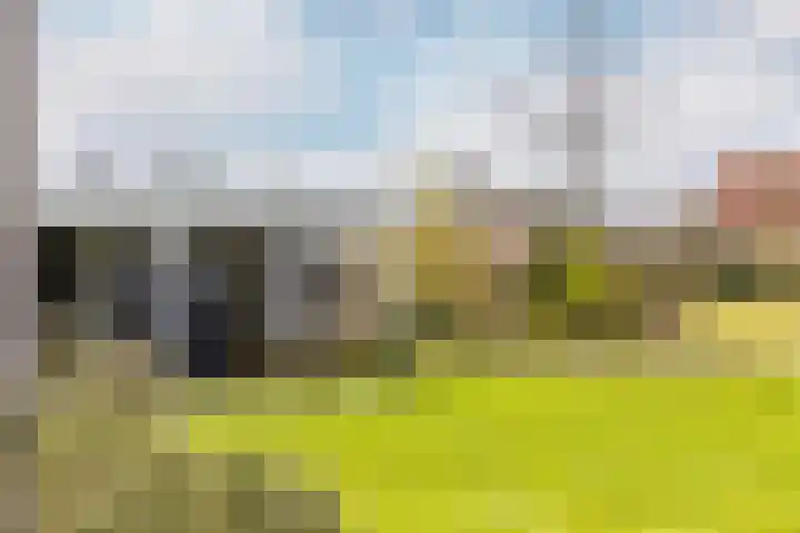Waterbospad 2 a Rockanje thumbnail 39