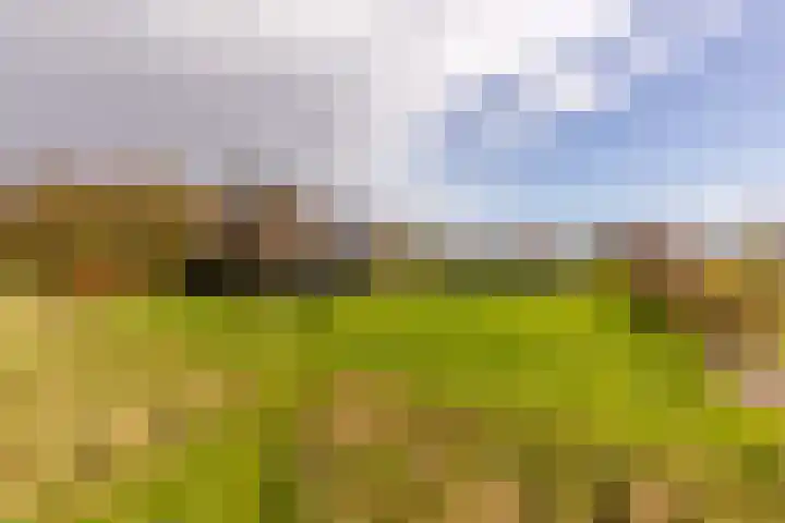 Waterbospad 2 a Rockanje thumbnail 4