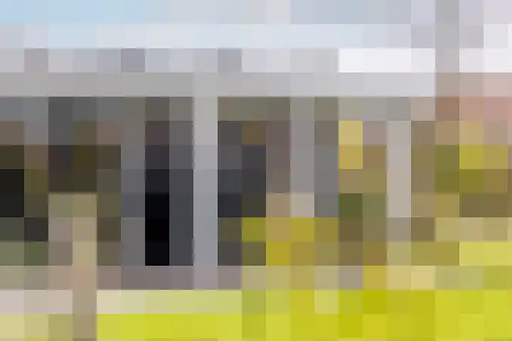 Waterbospad 2 a Rockanje thumbnail 40