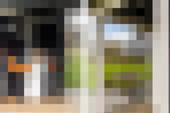 Waterbospad 2 a Rockanje thumbnail 42