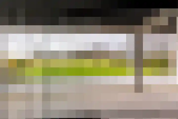 Waterbospad 2 a Rockanje thumbnail 43