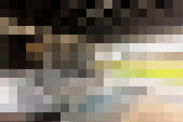 Waterbospad 2 a Rockanje thumbnail 44