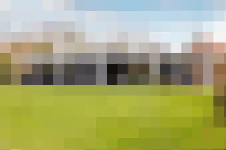 Waterbospad 2 a Rockanje thumbnail 45