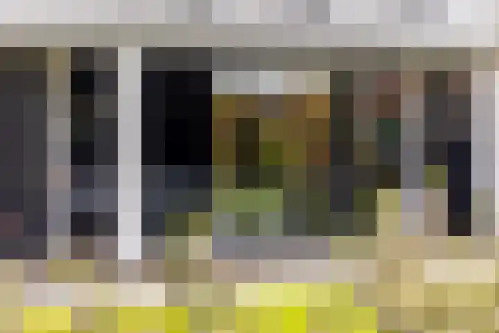 Waterbospad 2 a Rockanje thumbnail 46