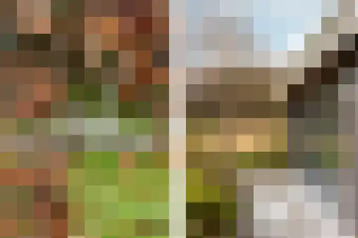 Waterbospad 2 a Rockanje thumbnail 47