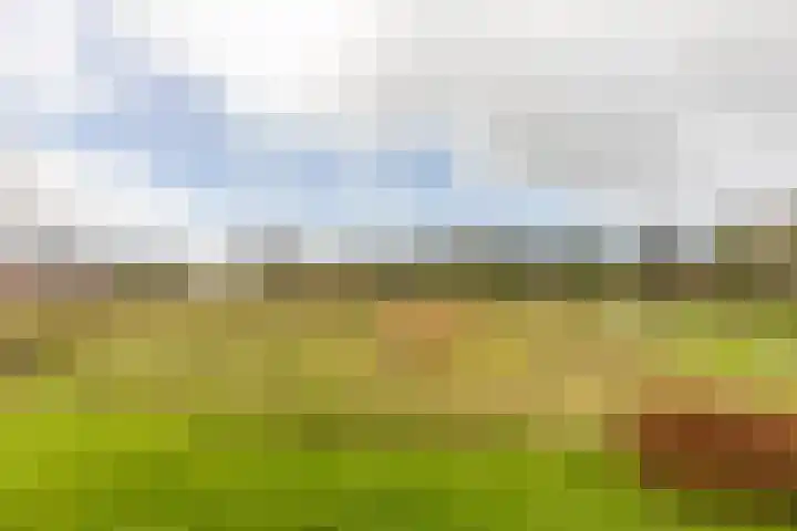 Waterbospad 2 a Rockanje thumbnail 49