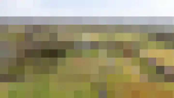Waterbospad 2 a Rockanje thumbnail 50