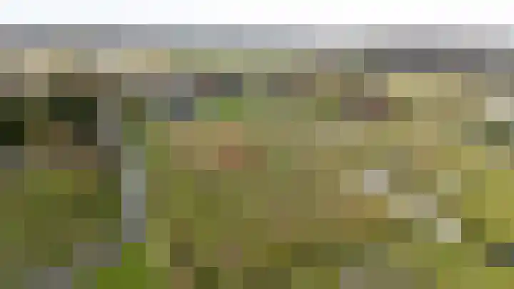 Waterbospad 2 a Rockanje thumbnail 51