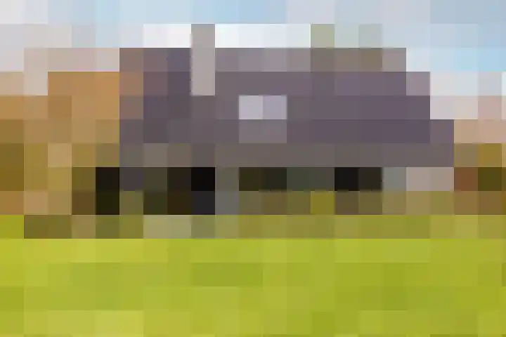 Waterbospad 2 a Rockanje thumbnail 52