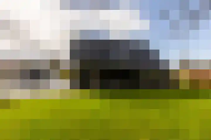 Waterbospad 2 a Rockanje thumbnail 53