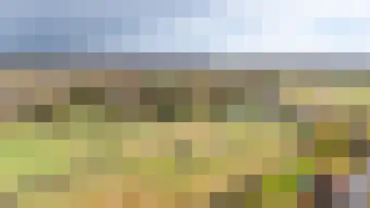 Waterbospad 2 a Rockanje thumbnail 55