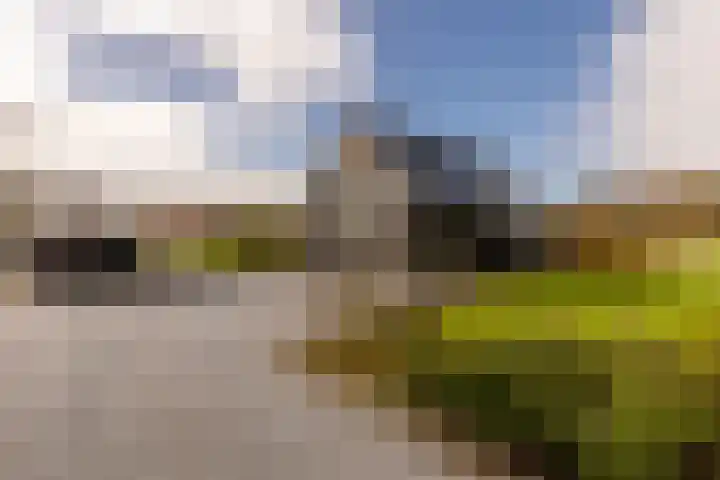 Waterbospad 2 a Rockanje thumbnail 6