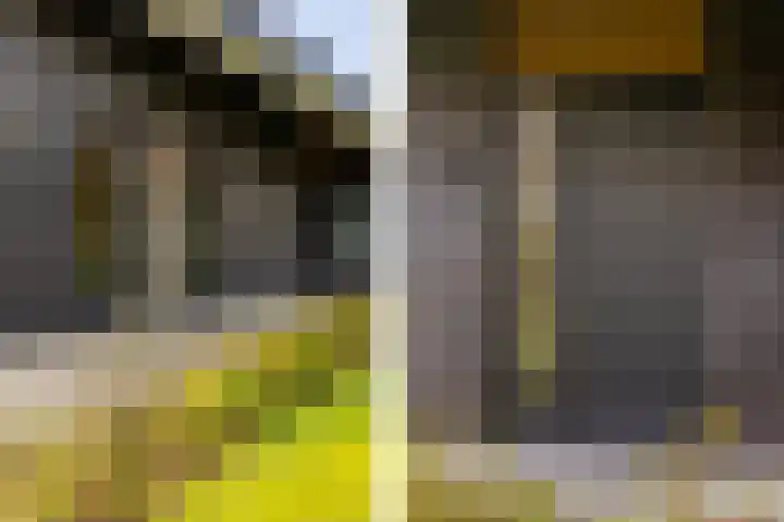 Waterbospad 2 a Rockanje thumbnail 7