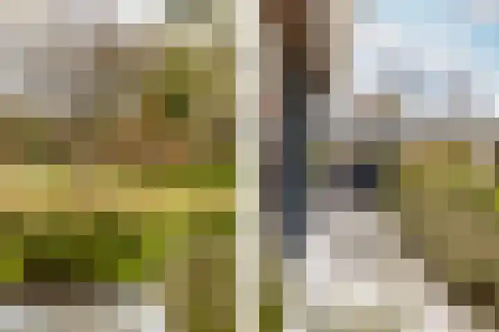 Waterbospad 2 a Rockanje thumbnail 8