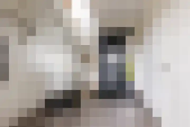 Waterbospad 2 a Rockanje thumbnail 9