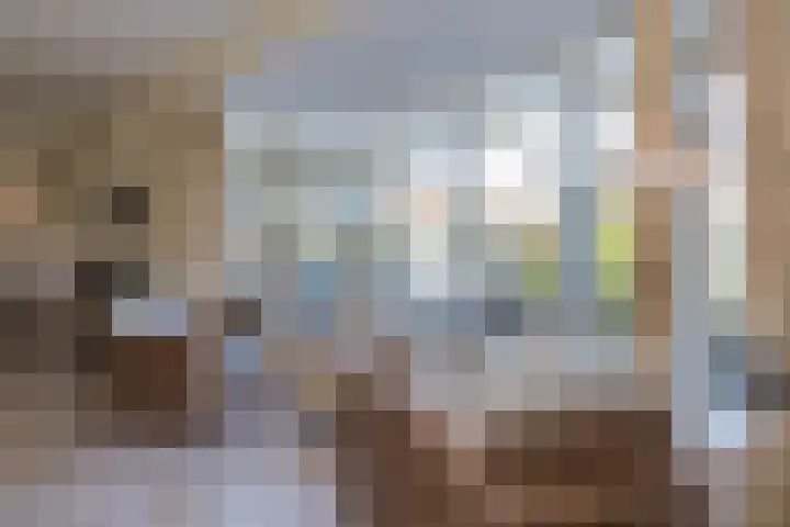 Waterbospark 101 Rijnsburg thumbnail 12