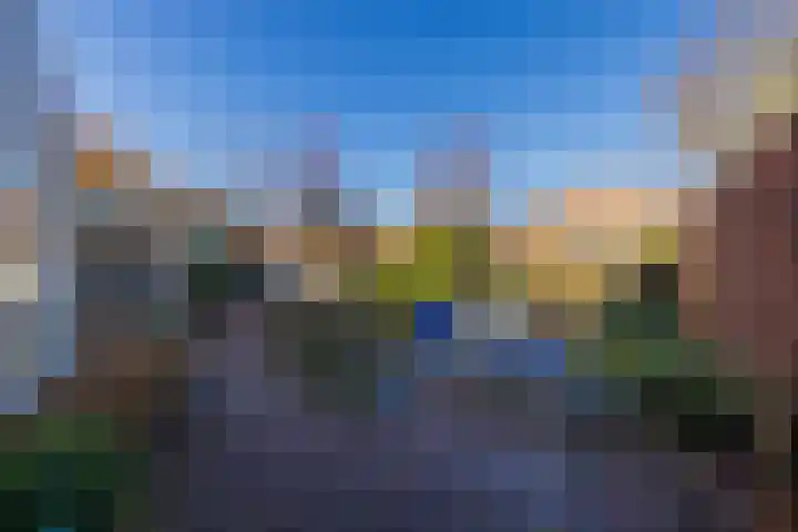 Waterbospark 101 Rijnsburg thumbnail 21