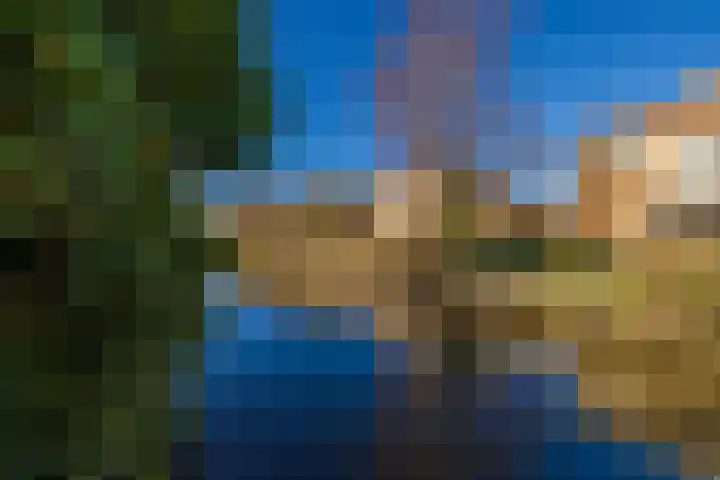 Waterbospark 101 Rijnsburg thumbnail 27