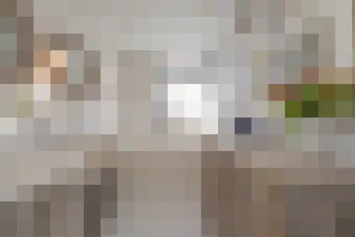 Waterbospark 101 Rijnsburg thumbnail 35