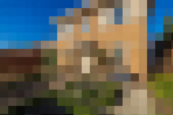 Waterbospark 101 Rijnsburg thumbnail 4