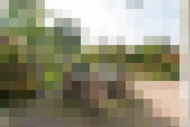 Waterbospark 81 Rijnsburg thumbnail 39