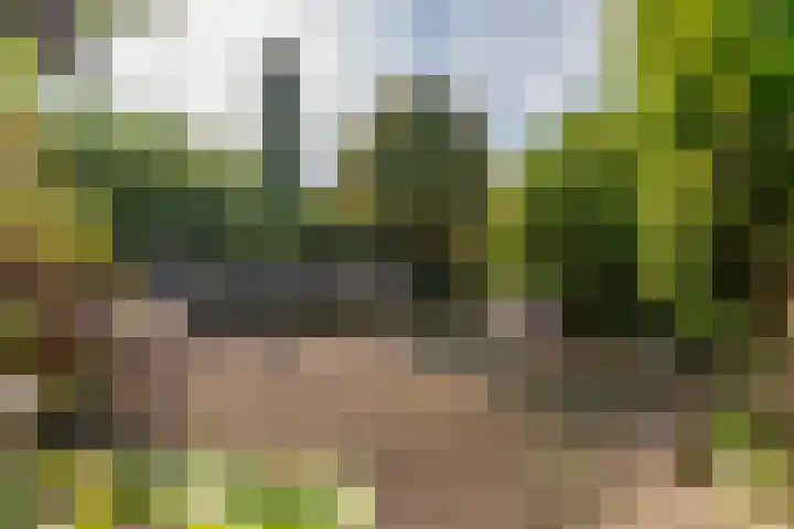 Waterbospark 81 Rijnsburg thumbnail 44