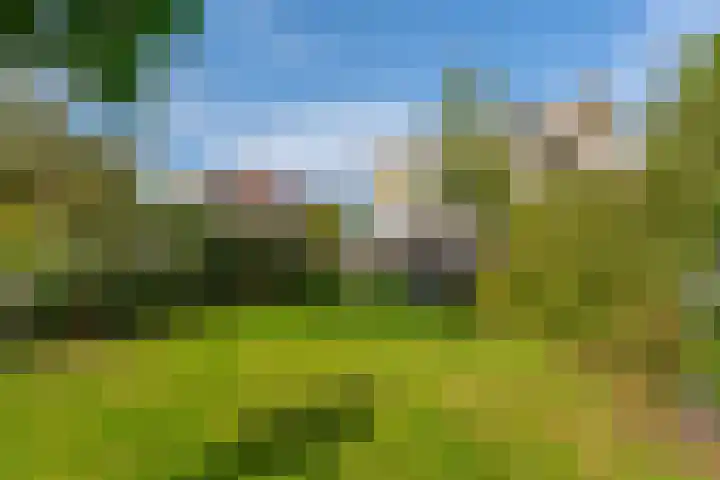 Waterbospark 81 Rijnsburg thumbnail 51