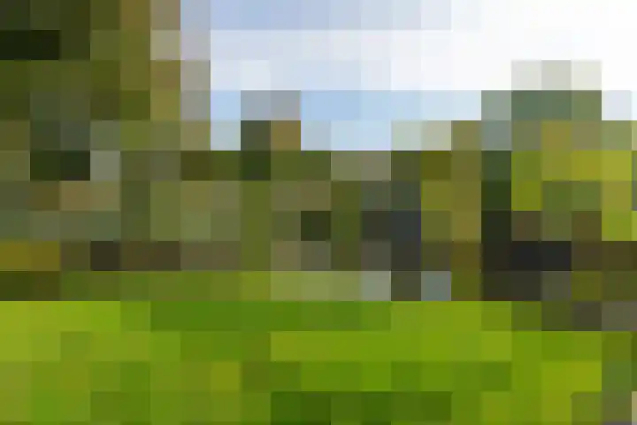 Waterbospark 81 Rijnsburg thumbnail 53