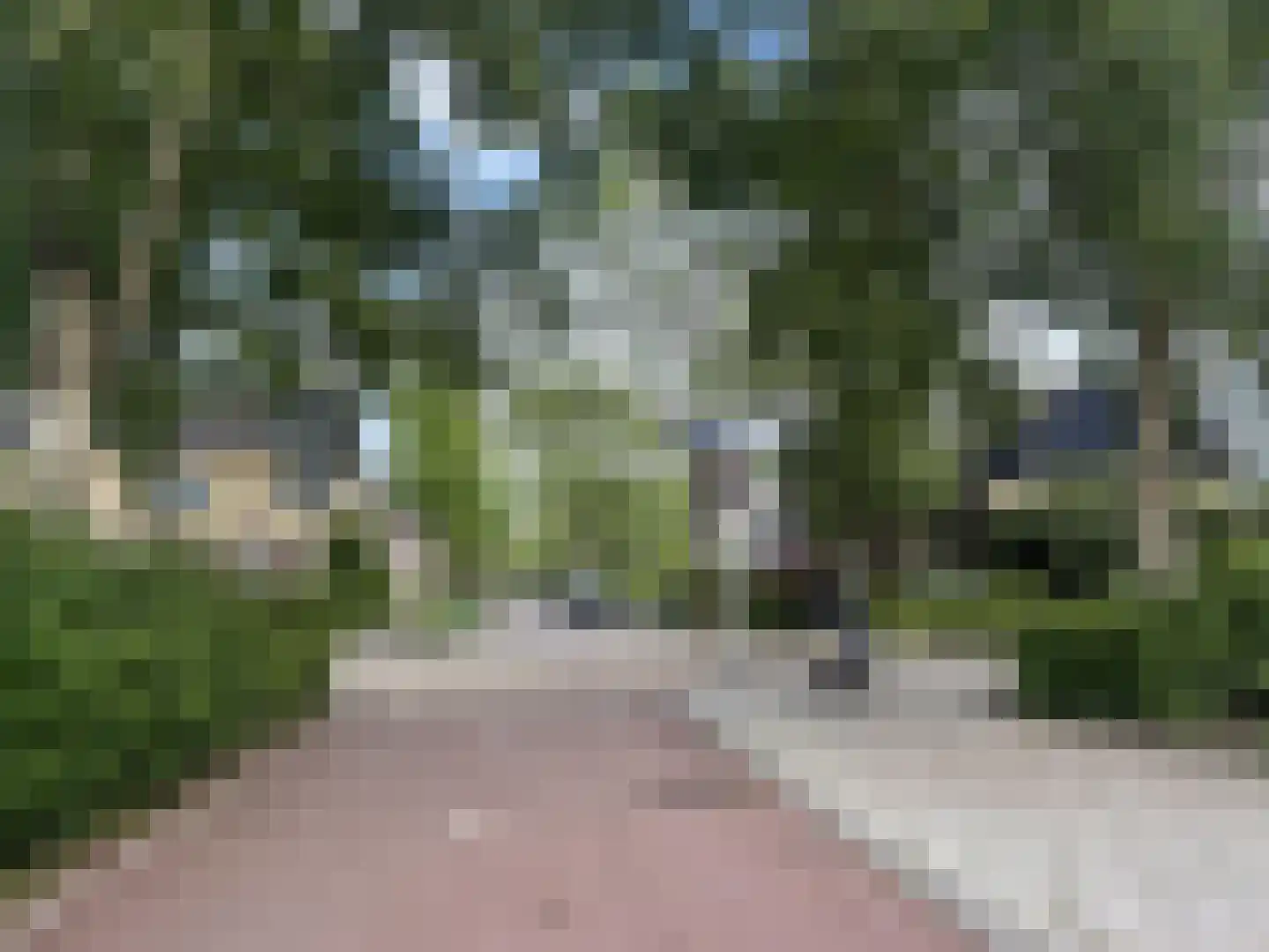 Watercirkel 127 Amstelveen thumbnail 32