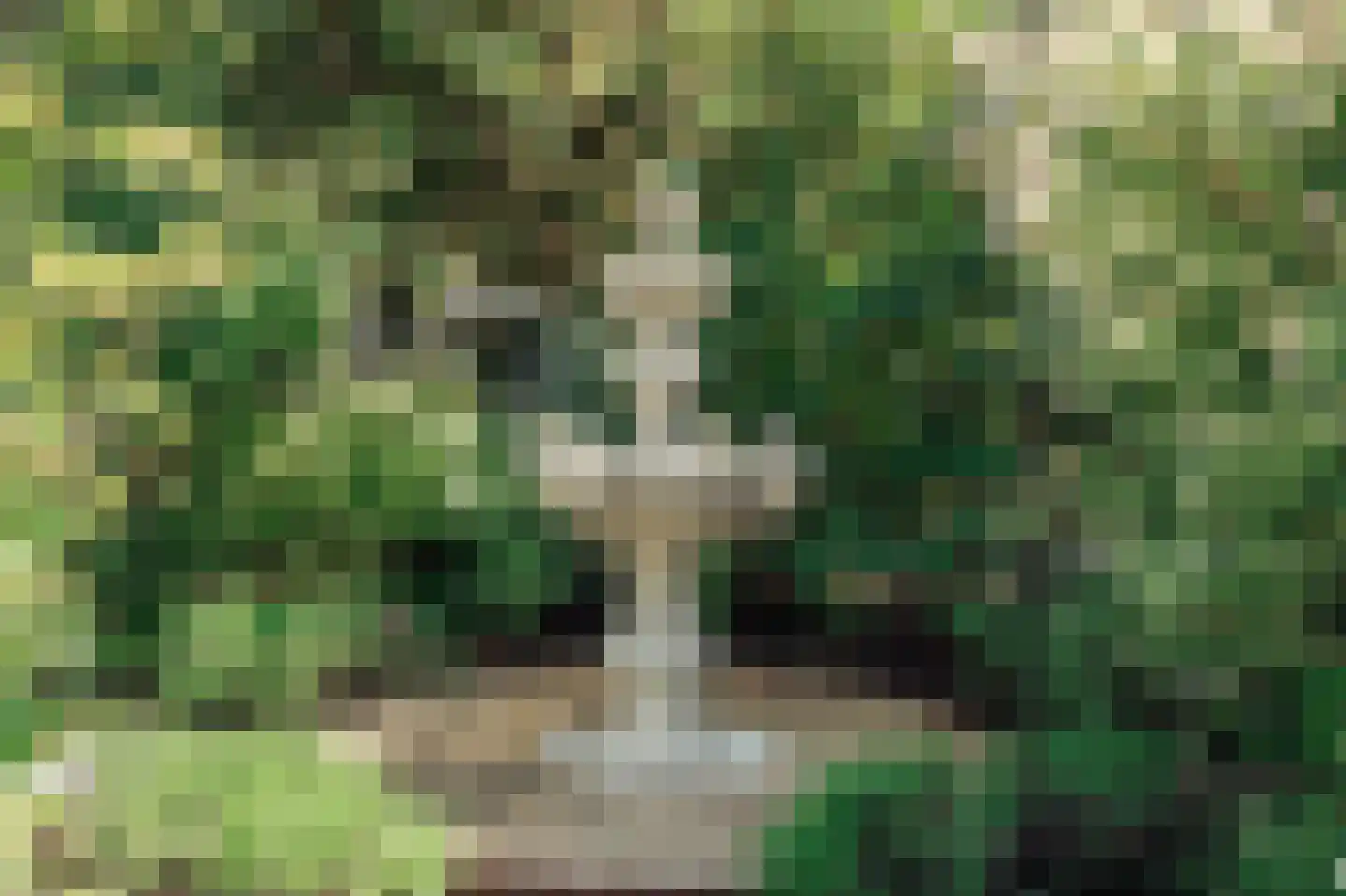 Watercirkel 336 Amstelveen thumbnail 46