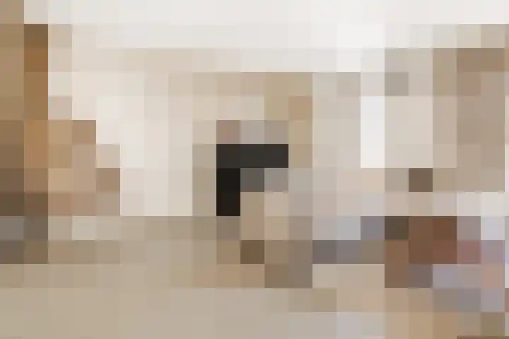 Waterdam 11 Wierden thumbnail 11